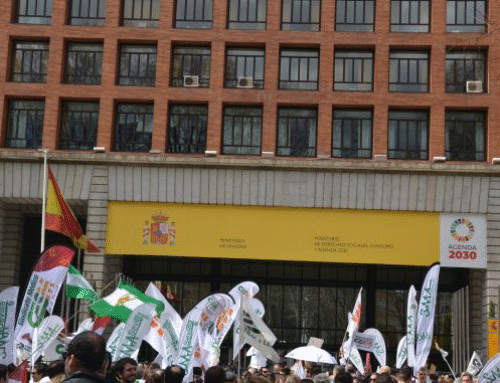 El Comité de Huelga establece su calendario de movilizaciones hasta las elecciones del 29 de noviembre